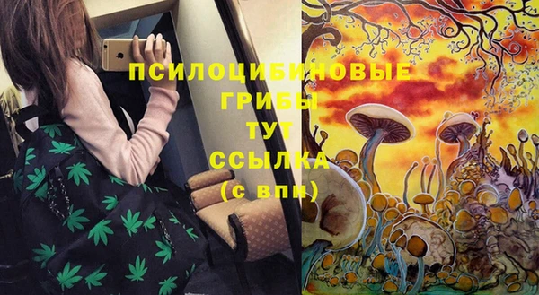 не бодяженный Армянск