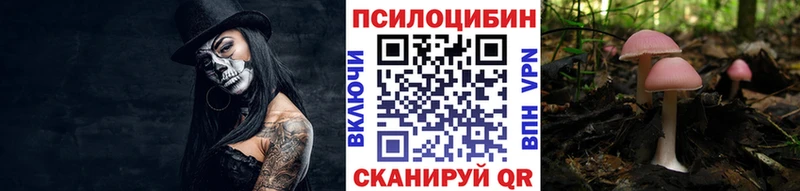 Псилоцибиновые грибы мицелий  Отрадный 